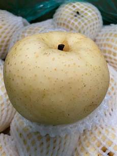 Apple Pear