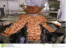 Biscuit Manufacturing