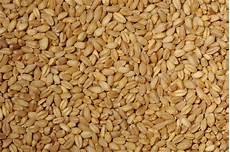Whole-Wheat Bulgur