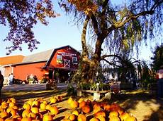 Apple Nursery
