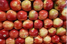 Apples Honeycrisp