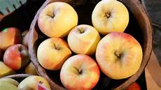 Apples Honeycrisp