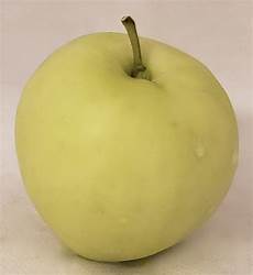 Applesauce