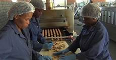 Biscuit Plant
