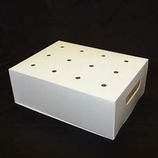 Cake Container