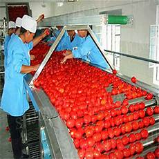 Cake Production Line