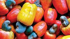 Cashew Apple