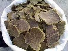 Castor Cake