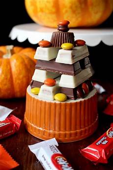 Chocolate Case