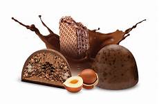 Chocolate Covered Hazelnut