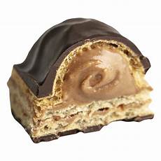 Chocolate Covered Hazelnut