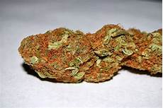 Chocolate Flavored Wax