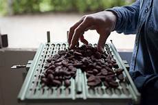 Chocolate Guillotine