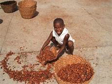 Chocolate Industry