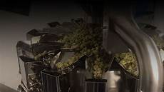 Chocolate Packing Machines