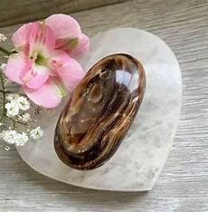 Chocolate Palm-Nut