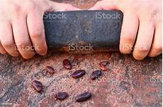 Chocolate Preparing System