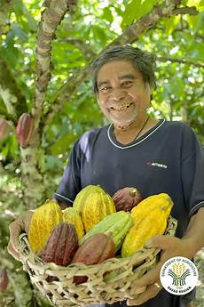 Chocolate Producers