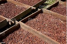 Chocolate Production Lines