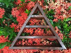 Chocolate Shelf Trays