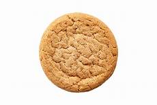 Cookie Biscuit