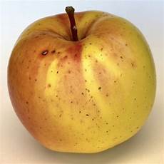 Fuji Apples