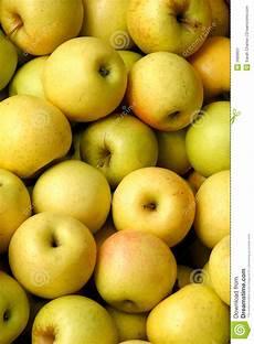 Golden Apples