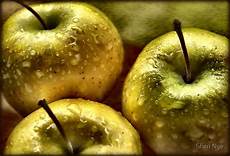Golden Apples