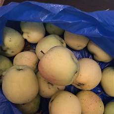 Grown Apples
