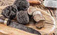 Mushroom Chocolates