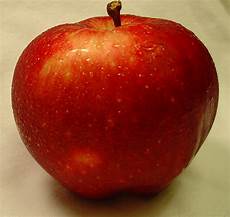 Organic Apple