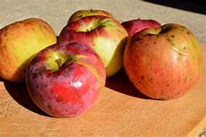Organic Apple