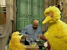 Sesame For Biscuit