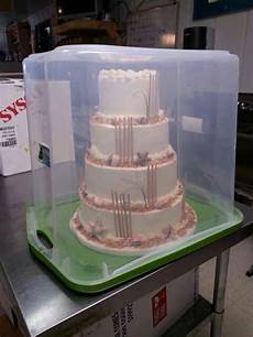 Slice Cake Containers