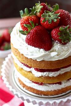 Sponge Cake Mix