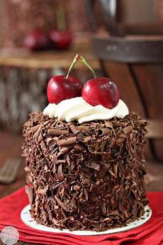 Swissroll Cake