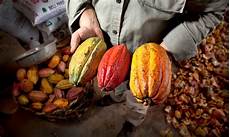 Traidcylinder Chocolate Makers
