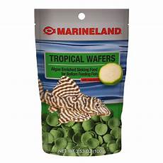 Wafer Feeding Systems